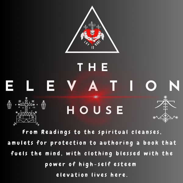 THE ELEVATION HOUSE 